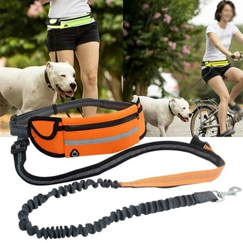 Hands-Free Dog Leash with Zipper Pouch – Reflective & Durable for Running & Walking