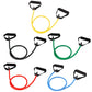 Resistance Bands with Handles - Elastic Workout Bands for Muscle Training & Physical Therapy